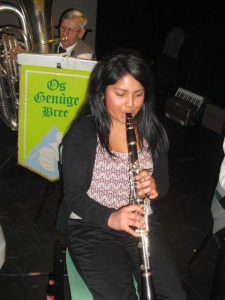 2014 Carnaval Bree